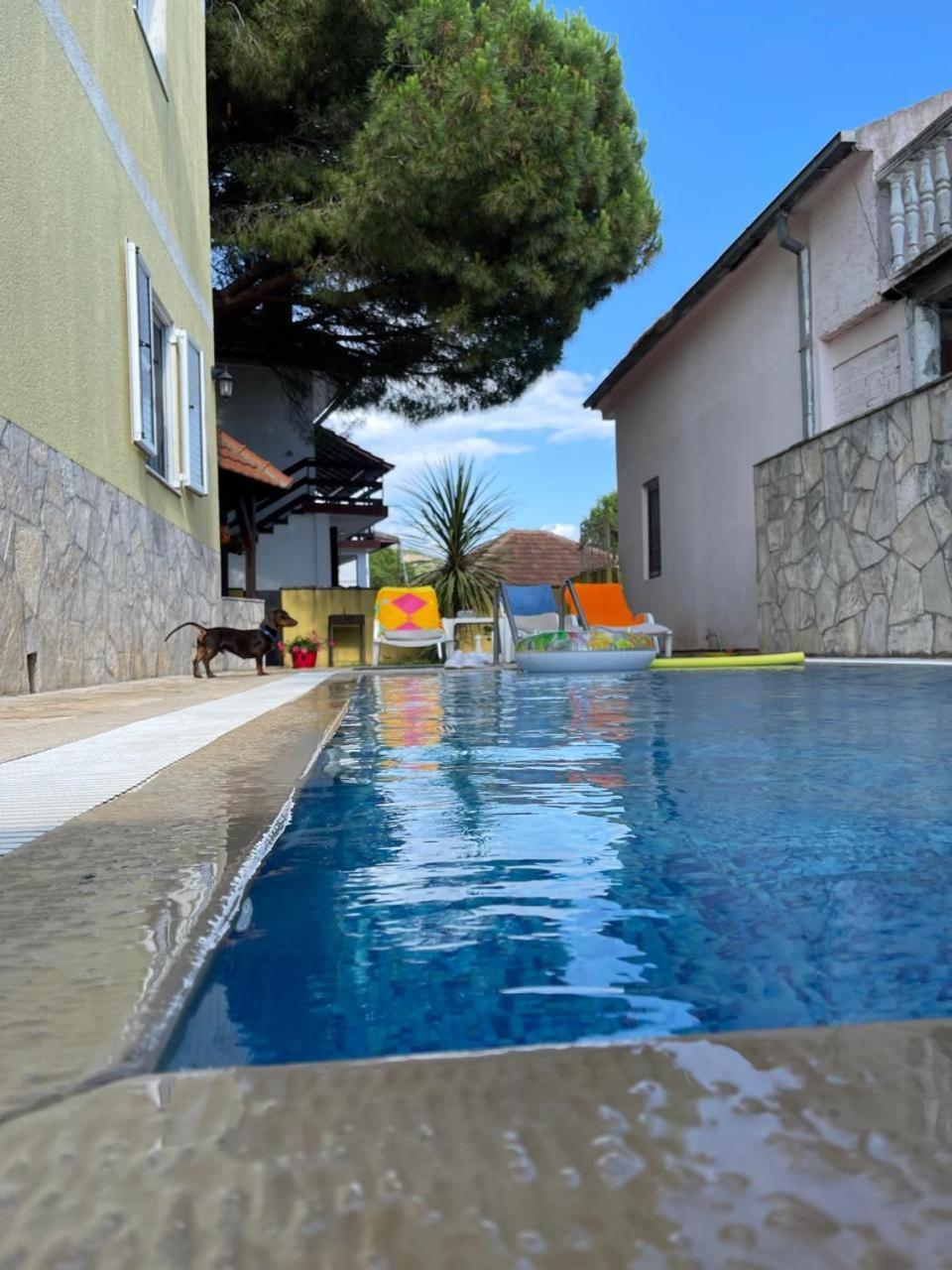 טיווט Apartments Villa-G Lustica מראה חיצוני תמונה